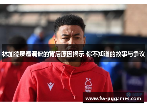 林加德屡遭调侃的背后原因揭示 你不知道的故事与争议 林加德屡遭调侃的背后原因揭示 你不知道的故事与争议