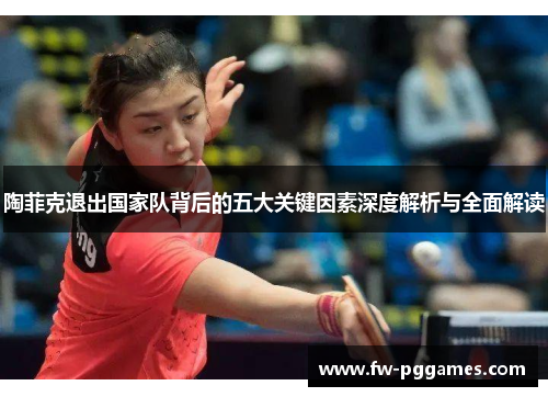 陶菲克退出国家队背后的五大关键因素深度解析与全面解读 陶菲克退出国家队背后的五大关键因素深度解析与全面解读